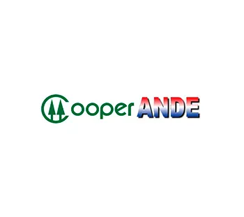 cooperativa ande paraguay