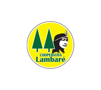 cooperativa lambare paraguay