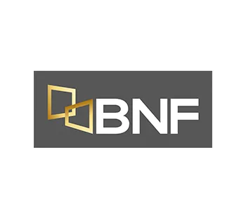 bnf paraguay